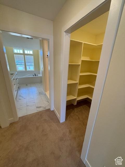 2577 W 5300 N Unit 11, Cedar City, UT 84721 - corridor with baseboards and carpet floors