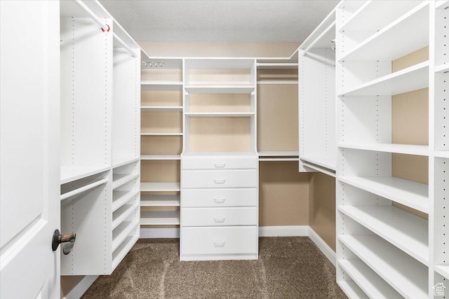 635 N 460 E, Ephraim, UT 84627 - walk in closet with dark colored carpet