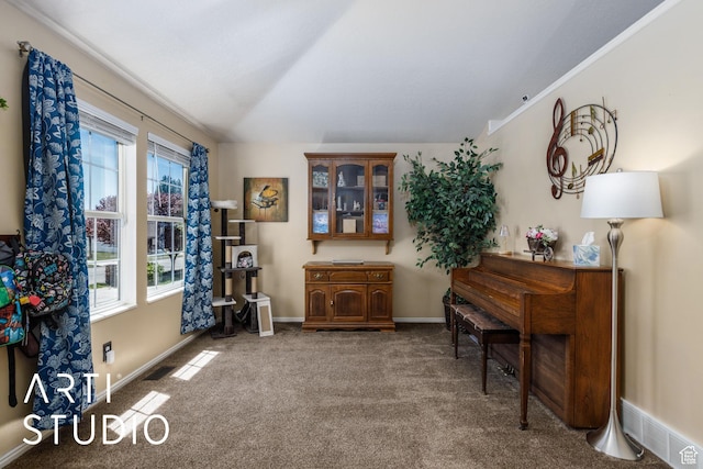 sitting room with baseboards, a wealth of natural light, carpet flooring, and lofted ceiling