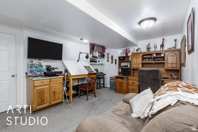 office featuring light colored carpet