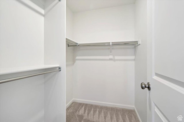 353 N Colonnade Rd Unit 1007, Saratoga Springs, UT 84045 - walk in closet with carpet flooring