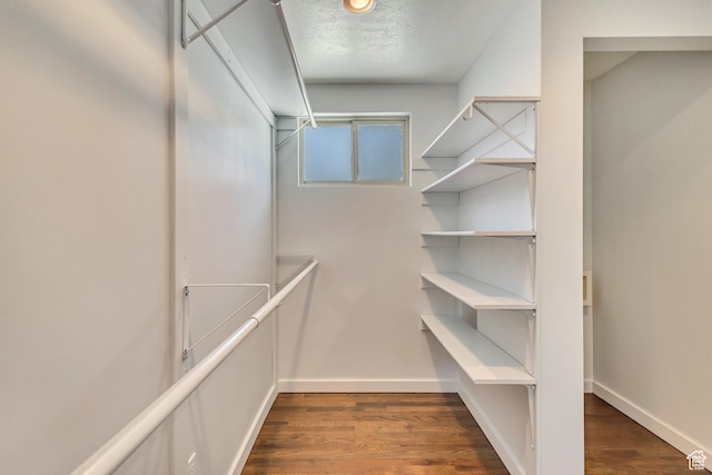 spacious closet featuring dark wood-style floors