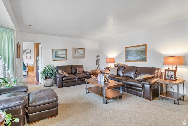 235 W 1000 N, Bountiful, UT 84010 - carpeted living area with a textured ceiling