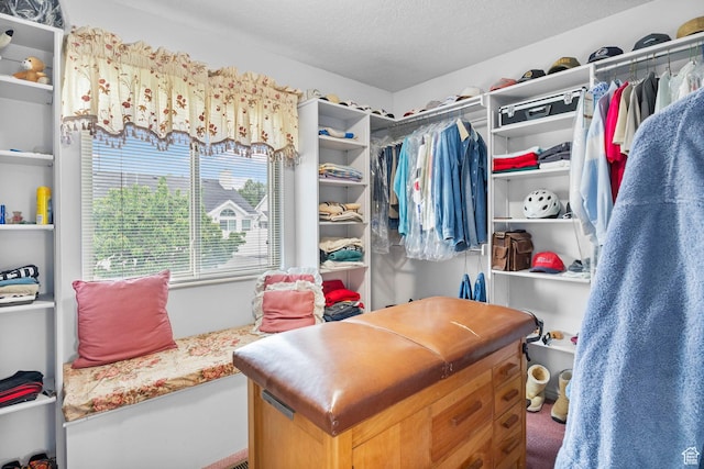 235 W 1000 N, Bountiful, UT 84010 - view of spacious closet