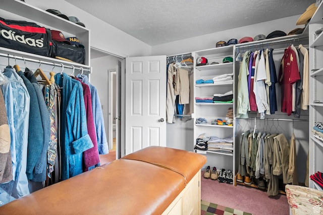 235 W 1000 N, Bountiful, UT 84010 - walk in closet with carpet flooring