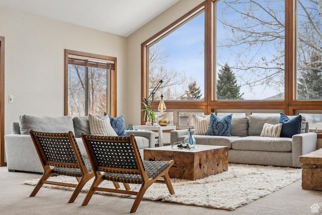 living area featuring carpet