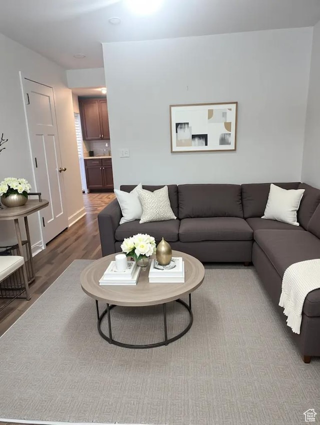 621 Shay Ln, Tooele, UT 84074 - living room featuring wood finished floors
