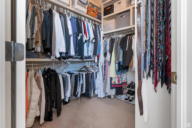 1056 W 100 N, St George, UT 84770 - spacious closet featuring carpet floors