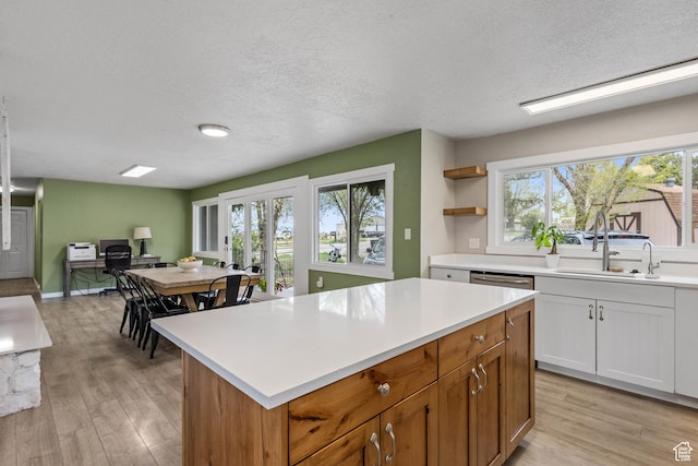 kitchen with light wood-style floors, light countertops, a sink, and plenty of natural light