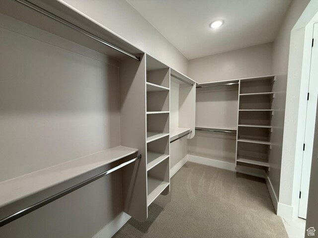 spacious closet with carpet floors
