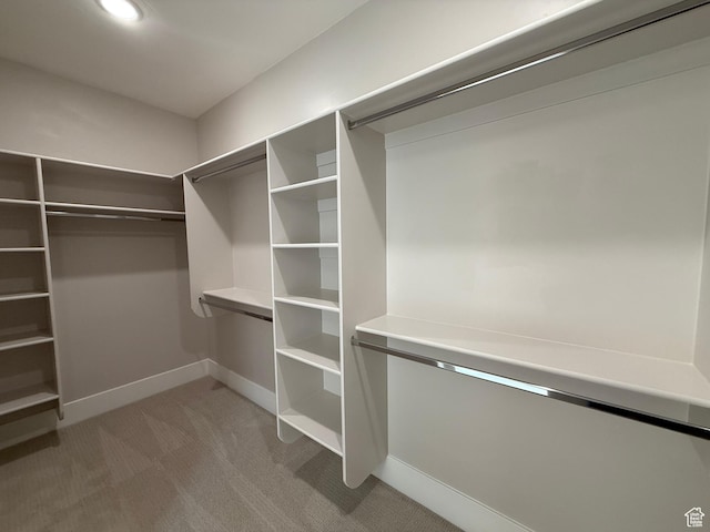 walk in closet featuring light carpet
