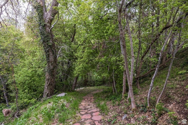 680 S Davis Blvd, Bountiful, UT 84010 - view of local wilderness featuring a wooded view