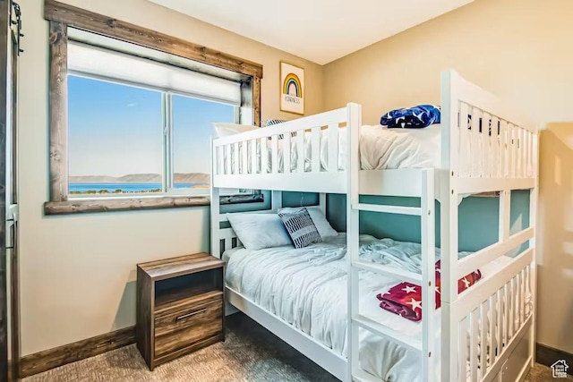 2869 S Chukar Dr Unit 63, Garden City, UT 84028 - bedroom with baseboards