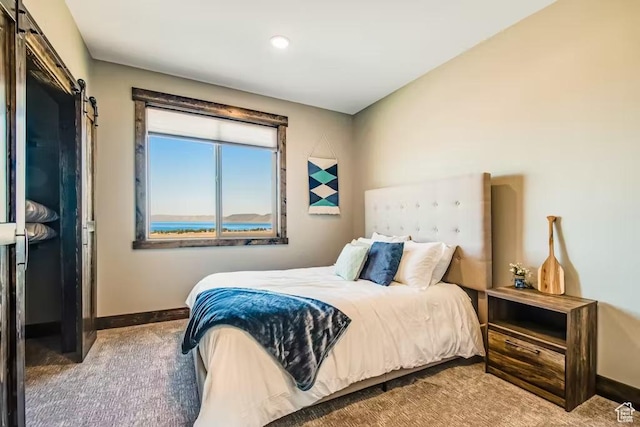 2869 S Chukar Dr Unit 63, Garden City, UT 84028 - carpeted bedroom with baseboards and recessed lighting