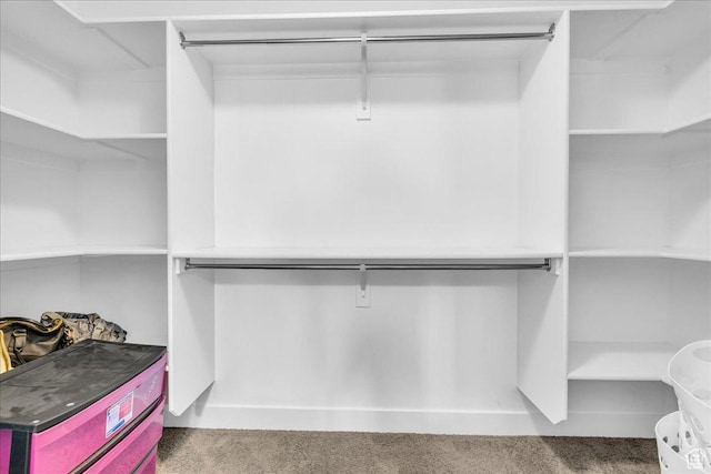 8072 N Rock Creek Cove Ln, Eagle Mountain, UT 84005 - walk in closet with carpet floors