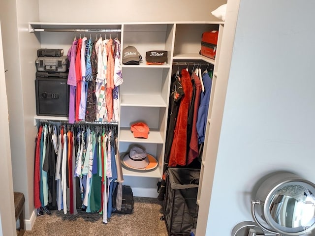 view of closet