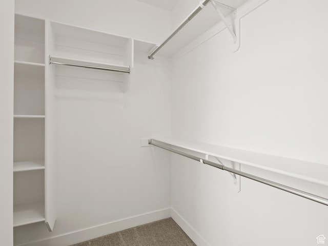1336 W 800 S Unit 22, Spanish Fork, UT 84660 - walk in closet with carpet flooring