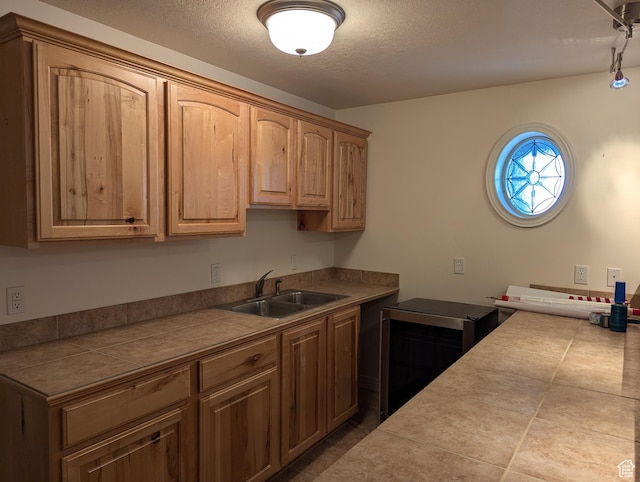 565 E Platt Ln Unit 1, Mona, UT 84645 - kitchen featuring a sink, a textured ceiling, dark tile patterned floors, and tile countertops