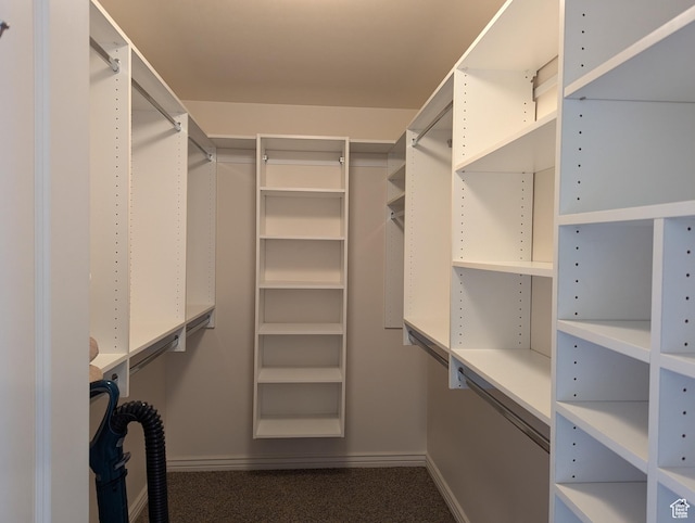 565 E Platt Ln Unit 1, Mona, UT 84645 - walk in closet with carpet flooring