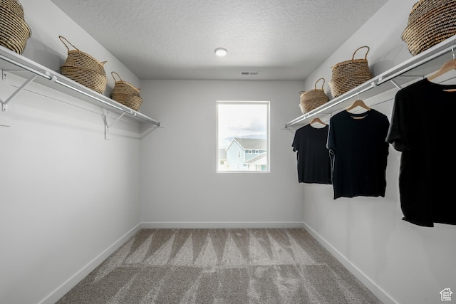 walk in closet featuring visible vents and carpet floors