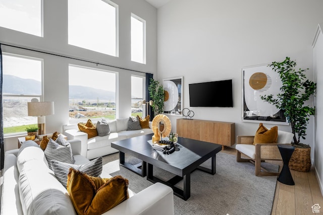 living room featuring a mountain view, wood finished floors, and a towering ceiling