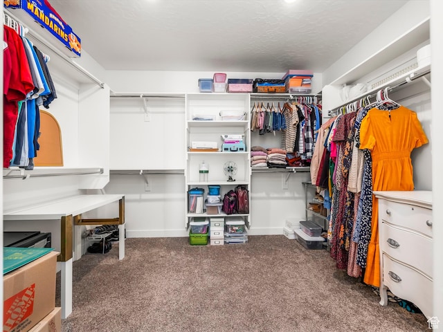 walk in closet with carpet