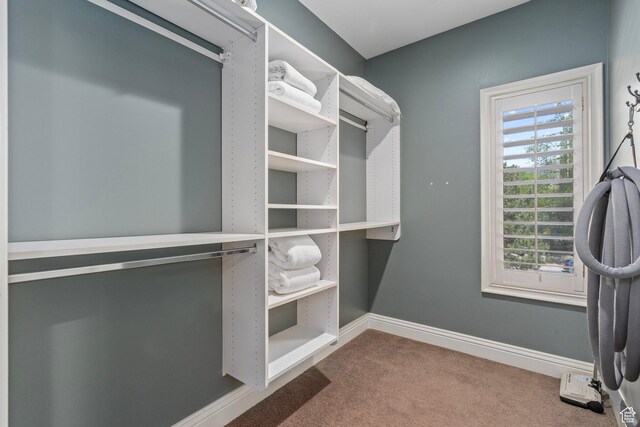 2428 E Field Rose Dr, Holladay, UT 84121 - spacious closet with carpet flooring