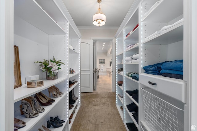 2428 E Field Rose Dr, Holladay, UT 84121 - view of walk in closet