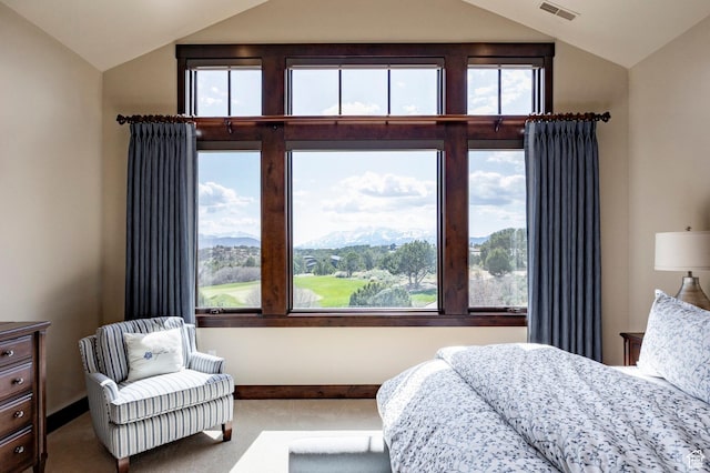 787 N Red Ledges Blvd, Heber City, UT 84032 - bedroom featuring carpet flooring, multiple windows, visible vents, and lofted ceiling