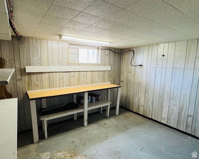 basement with wood walls