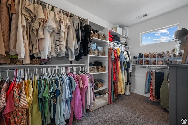 4455 W Glendon Dr, Lehi, UT 84043 - walk in closet with carpet and visible vents
