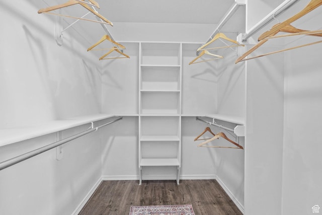 walk in closet with dark wood-style floors