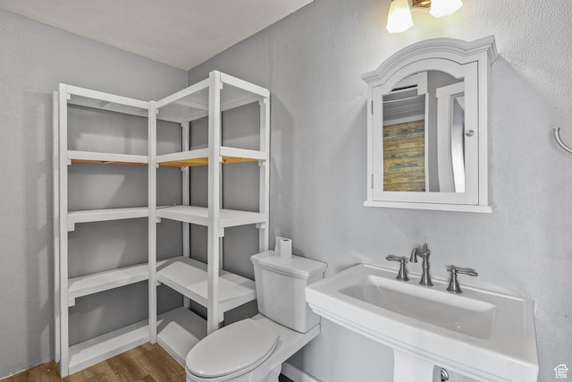 bathroom with a sink, toilet, and wood finished floors