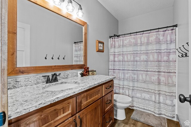 1504 N Sculpin Loop, Garden City, UT 84028 - bathroom with toilet, a shower with shower curtain, wood finished floors, and vanity