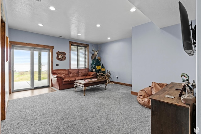 1504 N Sculpin Loop, Garden City, UT 84028 - living area with carpet floors, baseboards, and recessed lighting