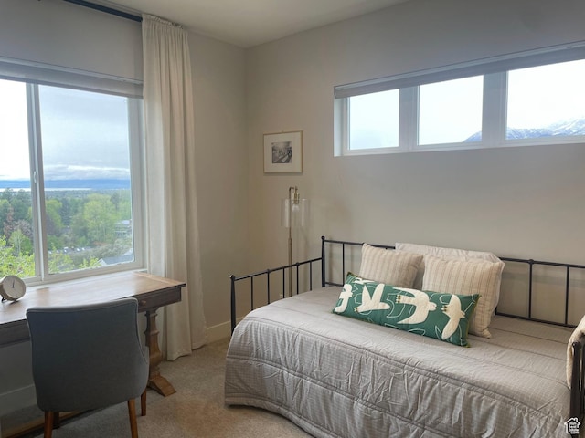 bedroom with carpet