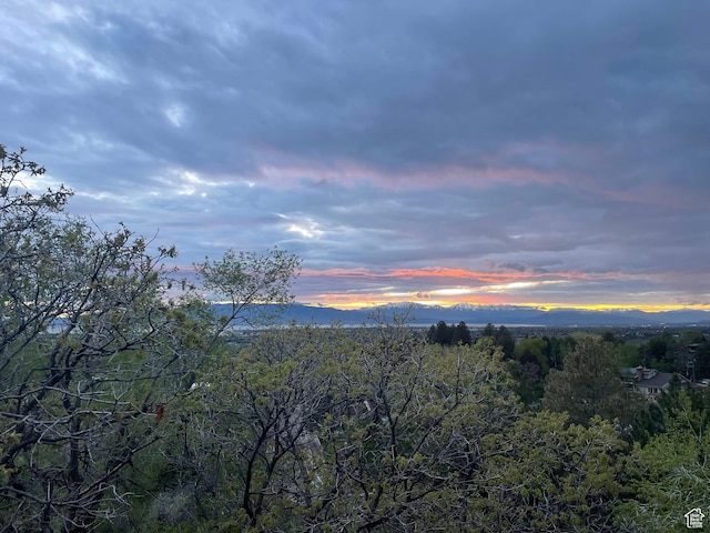 mountain view featuring a wooded view