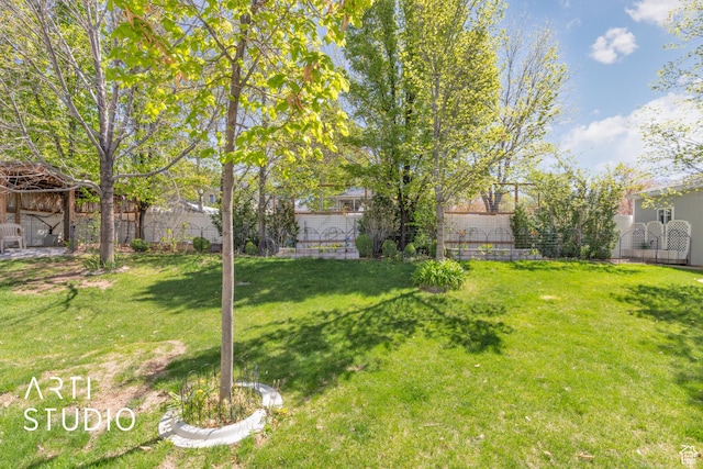 view of yard featuring a fenced backyard