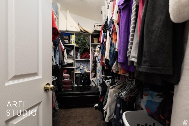 spacious closet featuring carpet floors