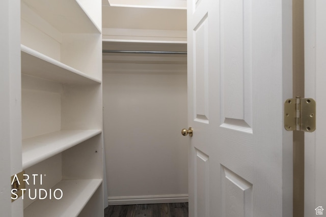 walk in closet with dark wood finished floors