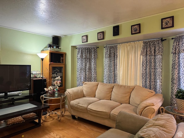 living area with wood finished floors