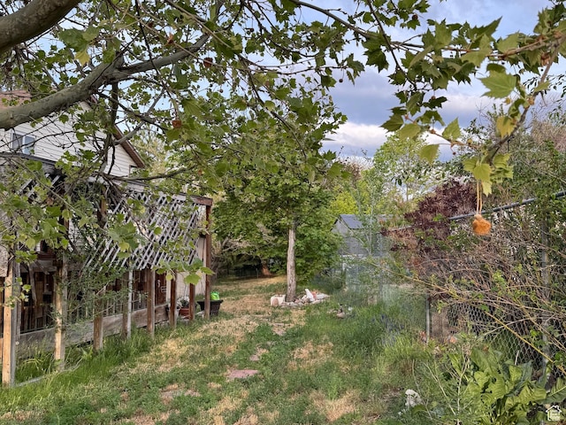 view of yard