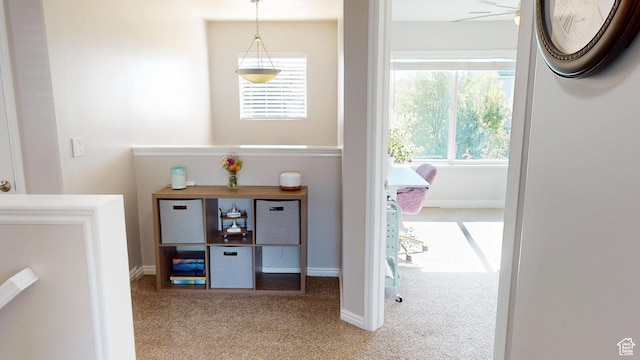 doorway to outside featuring carpet floors, healthy amount of natural light, and baseboards