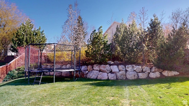 view of yard featuring a trampoline