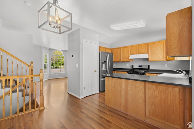 kitchen featuring stainless steel appliances, under cabinet range hood, a sink, vaulted ceiling, and wood finished floors