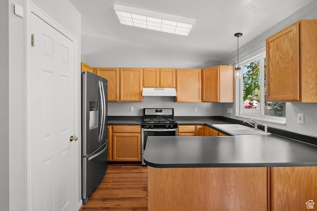 kitchen with stainless steel appliances, a sink, under cabinet range hood, a peninsula, and dark wood-style floors