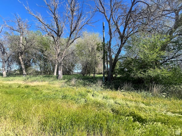 2968 W 7300 S, Benjamin, UT 84660
