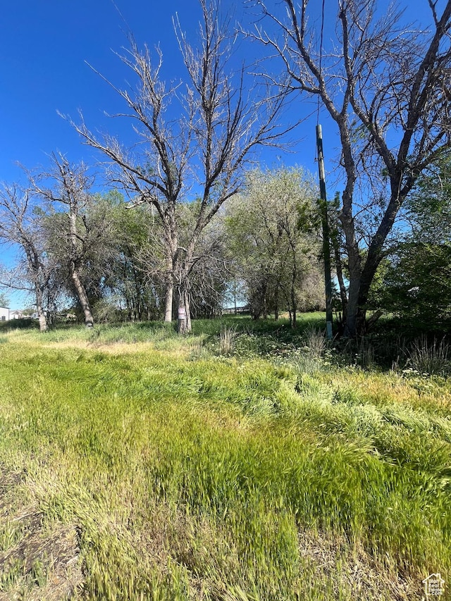 2968 W 7300 S, Benjamin, UT 84660