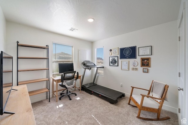 6303 S Zelda Dr, St George, UT 84790 - workout room featuring carpet and baseboards