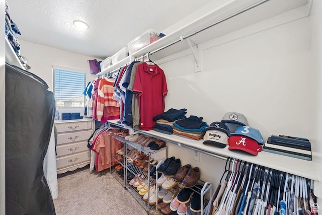 6303 S Zelda Dr, St George, UT 84790 - walk in closet with carpet